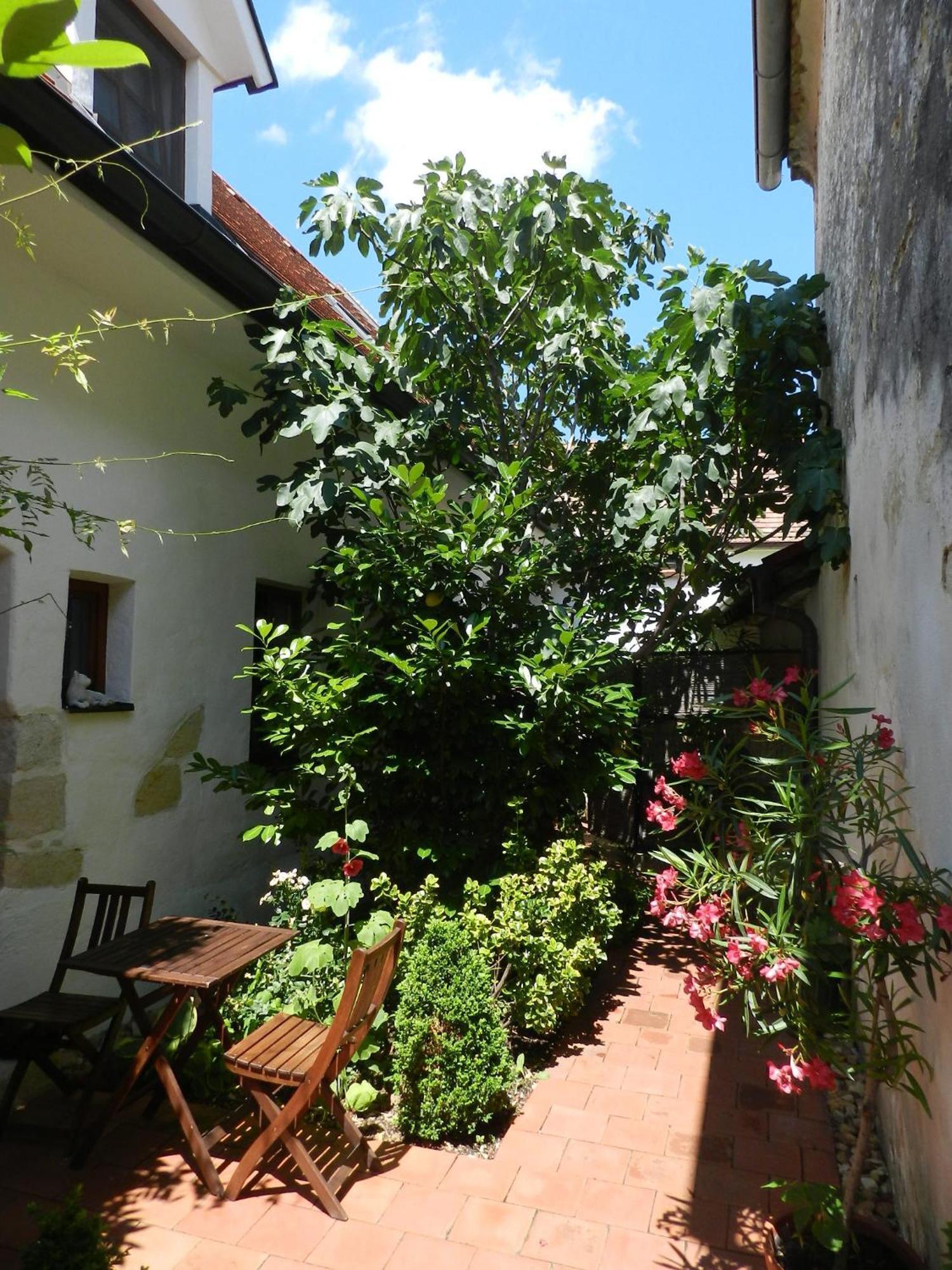 Apartamento Casa.Peiso Mörbisch am See Exterior foto