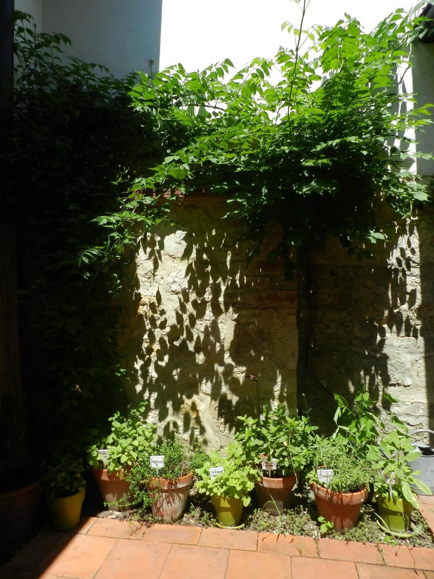 Apartamento Casa.Peiso Mörbisch am See Exterior foto